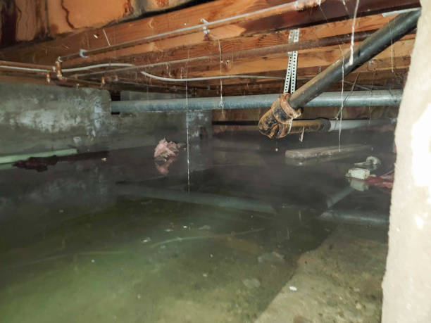 Best Emergency water damage restoration  in Hometown, IL