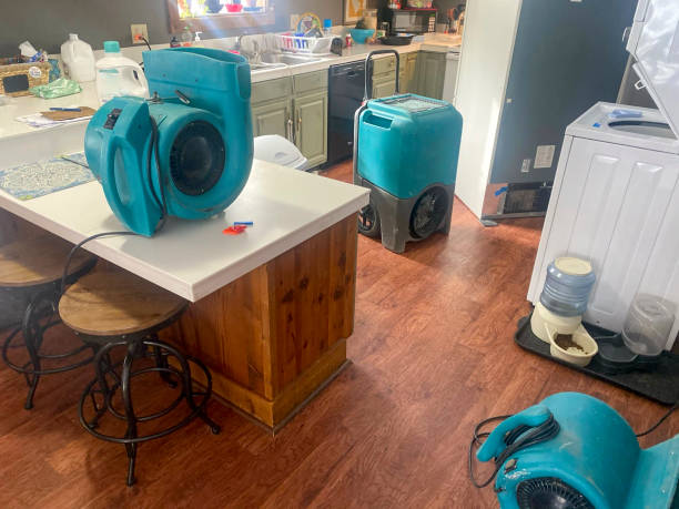 Best Commercial water damage restoration  in Hometown, IL