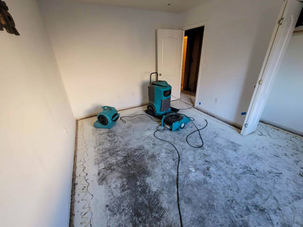 Best 24-hour water damage restoration  in Hometown, IL