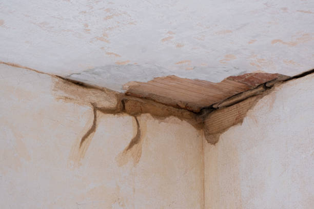 Best Carpet water damage restoration  in Hometown, IL