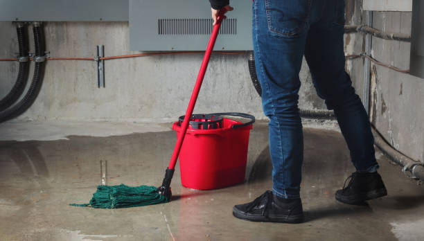 Best Fire Damage Restoration  in Hometown, IL