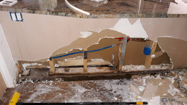 Best Flood damage cleanup  in Hometown, IL