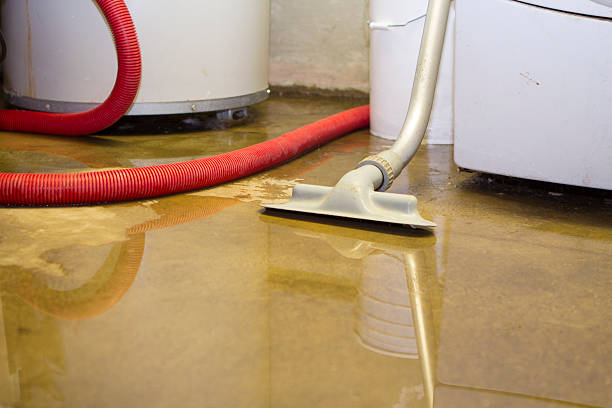 Best Water damage restoration services  in Hometown, IL