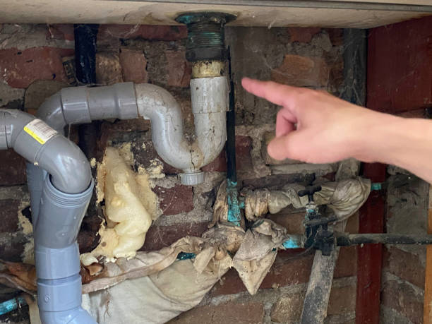 Best Residential water damage restoration  in Hometown, IL