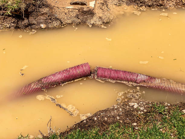 Best Professional water damage repair  in Hometown, IL