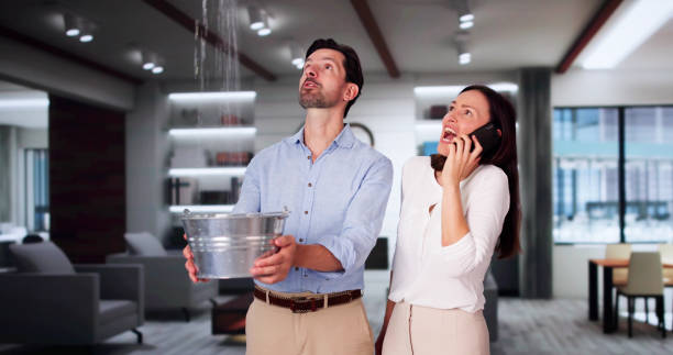 Best Basement water damage restoration  in Hometown, IL